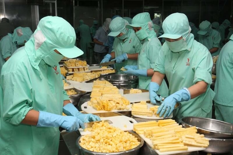 Giấy chứng nhận lưu hành tự do giúp doanh nghiệp xuất khẩu lưu hành sản phẩm dễ dàng