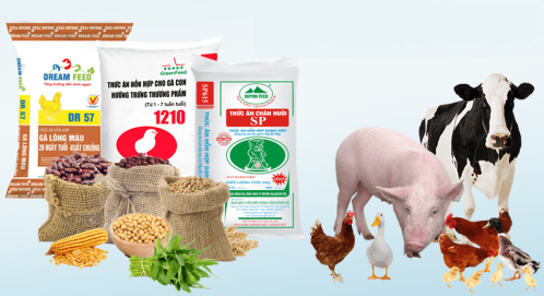 Quy tr&igrave;nh thực hiện thủ tục nhập khẩu thức ăn chăn nu&ocirc;i