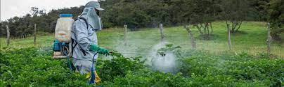 Hướng dẫn đăng ký lưu hành chế phẩm diệt côn trùng cho doanh nghiệp