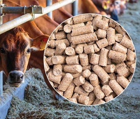 Điều kiện để được nhập khẩu thức ăn chăn nuôi