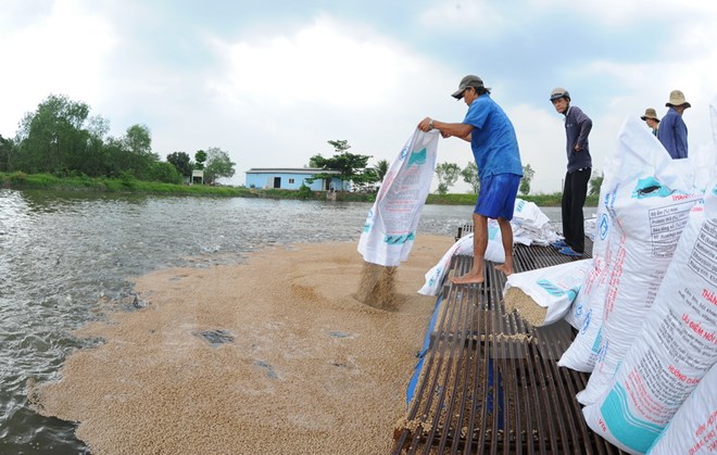 thủ tục nhập khẩu thức ăn chăn nuôi cho hải sản