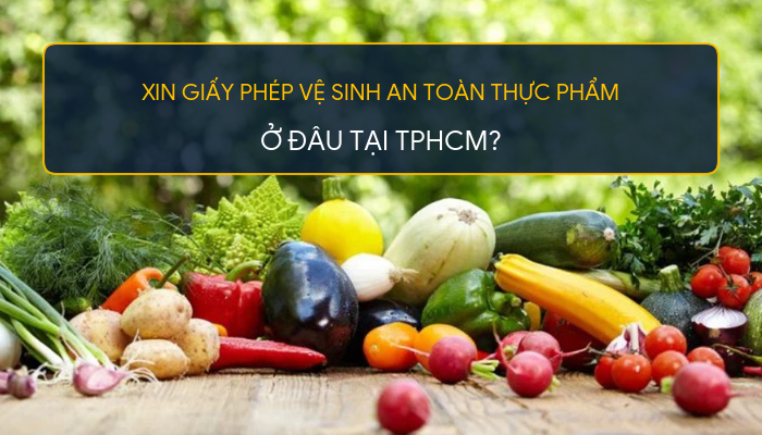  Xin Giấy Ph&eacute;p Vệ Sinh An To&agrave;n Thực Phẩm Ở Đ&acirc;u Tại TPHCM?