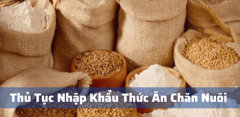 thủ tục nhập khẩu thức ăn chăn nuôi gia súc gia cầm