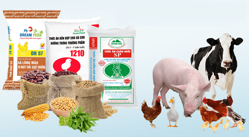 thủ tục nhập khẩu thức ăn chăn nuôi gia súc gia cầm