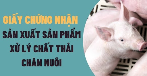 Giấy chứng nhận sản xuất sản phẩm xử lý chất thải