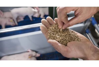 Công Ty Sản Xuất Thức Ăn Chăn Nuôi Mà Biết Bí Mật Này Thì Đăng Ký Nhãn Hiệu Gần Như Chắc Chắn Thành Công