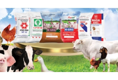 Đăng Ký Lưu Hành Thức Ăn Thủy Sản – Điều Kiện Và Quy Định Mới Nhất