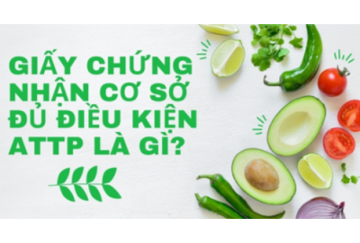 Giấy chứng nhận cơ sở đủ điều kiện VSATTP: Điều kiện – Hồ sơ – Quy trình 