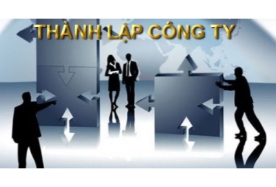 Hồ sơ thành lập công ty TNHH – Hướng dẫn chi tiết & dịch vụ trọn gói Thiên Di