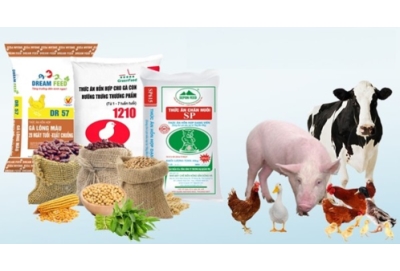 Hướng dẫn đăng ký thức ăn cho vật nuôi đúng quy định