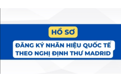 Hướng dẫn thủ tục đăng ký nhãn hiệu qua Nghị định thư Madrid chi tiết từ A đến Z 