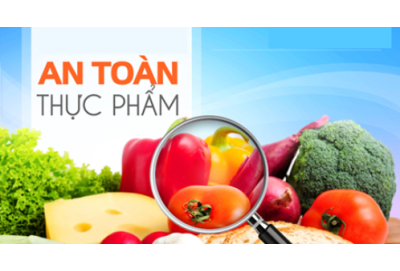 Quy Định Về An Toàn Thực Phẩm Và Những Điều Cần Biết