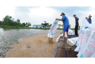 Thủ tục nhập khẩu thức ăn chăn nuôi cho hải sản mới nhất 2025