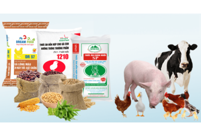 Thủ tục nhập khẩu thức ăn chăn nuôi gia súc gia cầm - Hồ Sơ & Quy Trình